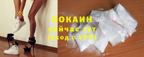 гидра Богородицк