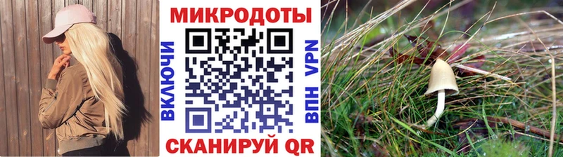 гидра зеркало  площадка официальный сайт  Псилоцибиновые грибы Psilocybe  Балахна 